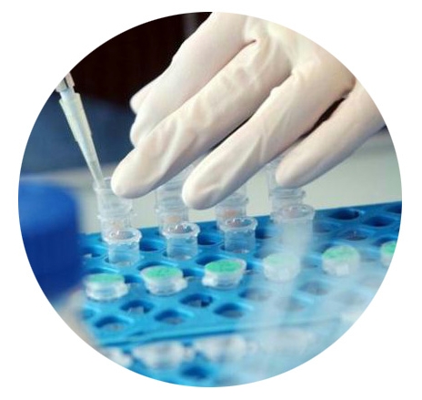 biotech