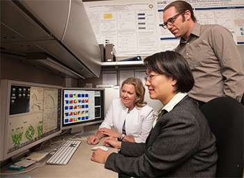 Three colleagues of the Clancy Lab examine results on two computer screens