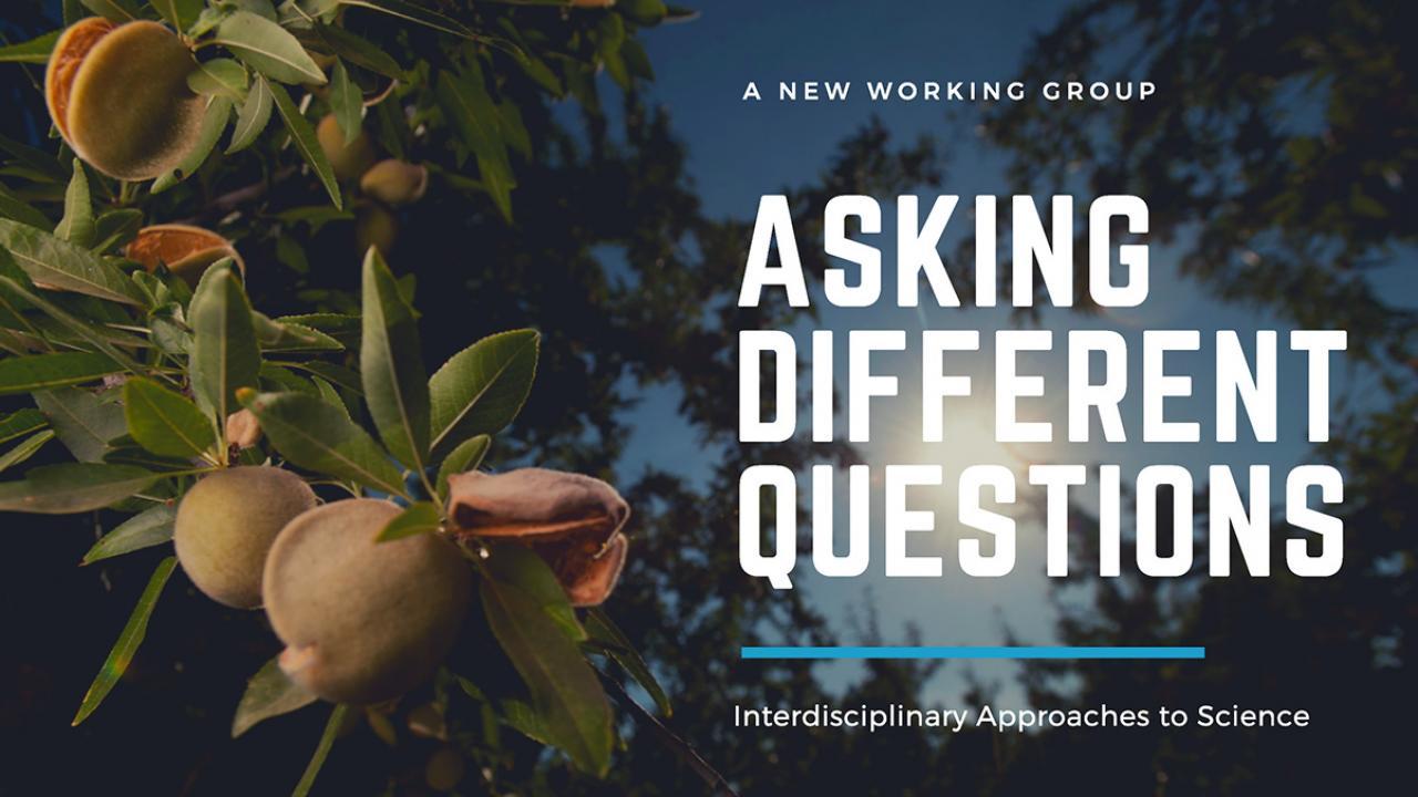 Asking Different Questions banner with light shining through almond tree