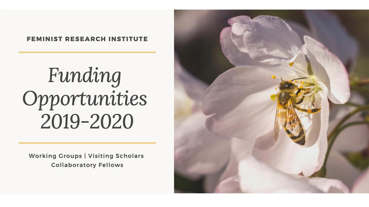Multiple Funding Opportunities with the Feminist Research Institute (image of bee in cherry blossom)