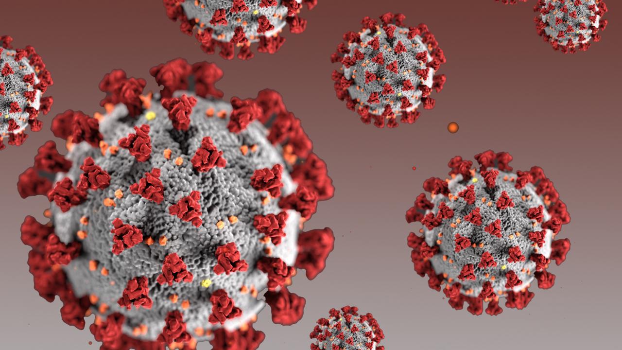 Coronavirus