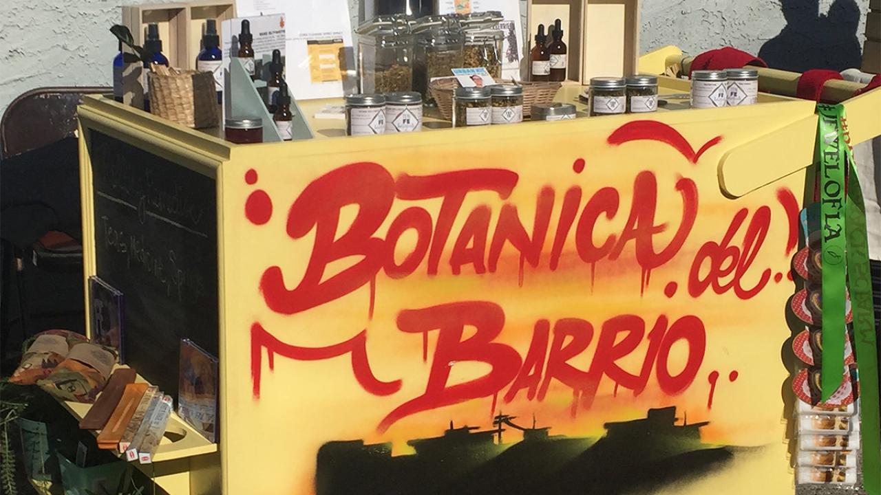 Felicia ‘Fe’ Montes, Botanica del Barrio, 2016, wood cart. Courtesy of the artist. Photo: Felica ‘Fe’ Montes