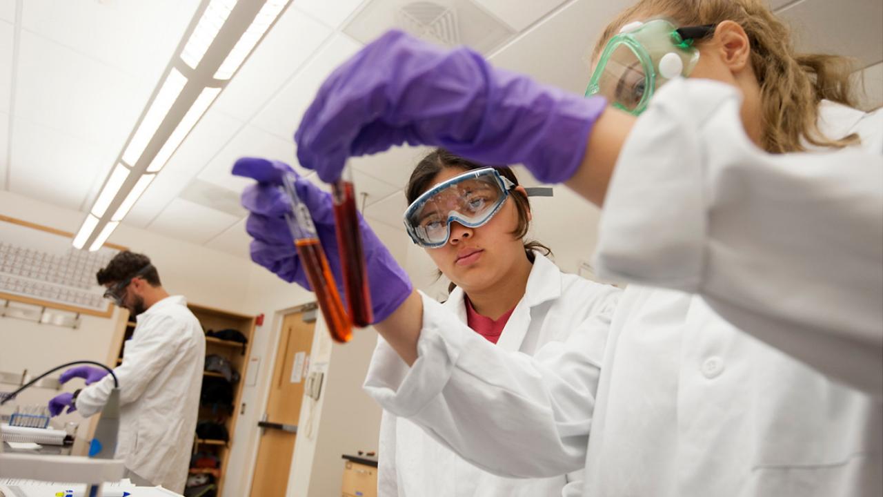 (left to right ) Maria Robles, a NPB major, and Rebecca Pople, a clinical nutrition major, work on get their chemicals to shift during at Chemistry Lab 2b on Monday May 5, 2014 at UC Davis. Photo by Gregory Urquiaga Photo of students with test tubes in chemistry class, a Latina student in center of frame