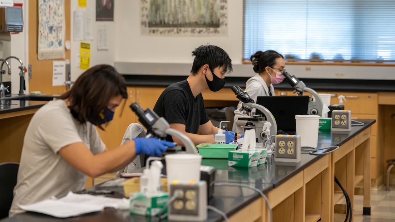 Three students use microscopes in the Science Laboratory Building 