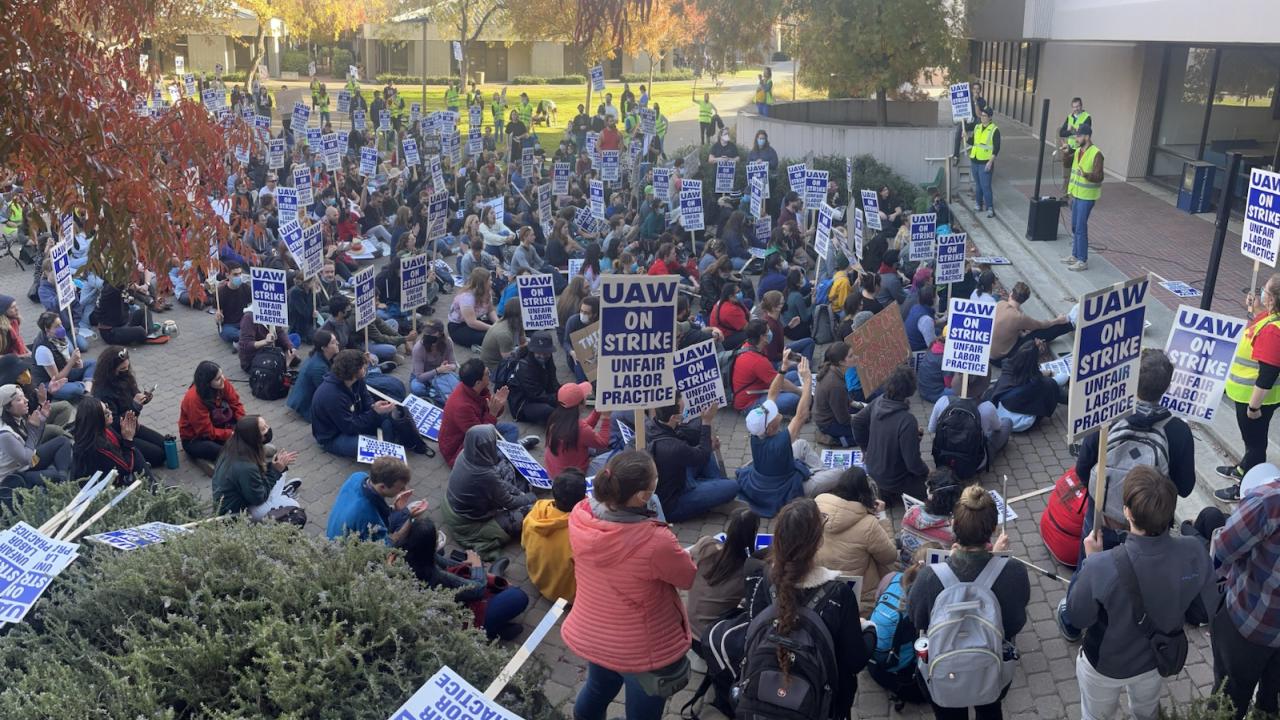 Large group of strikers with signs marching