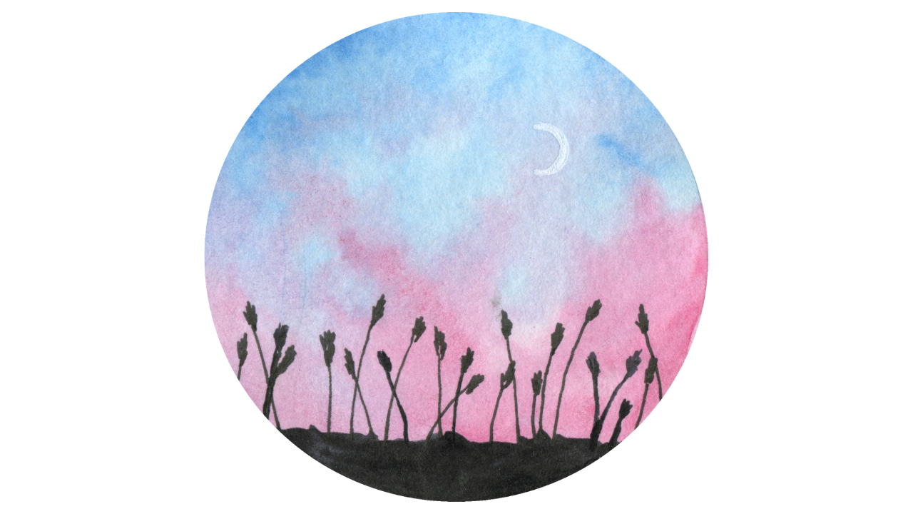 Flowers in the dusk in watercolor