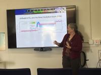 Photo of Dr. Sumner Presenting