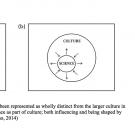 Understanding Science as Culturally Situated 