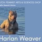 Harlan Weaver announcment with photo of pit bull standing in water