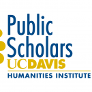 Mellon Public Scholars