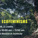 Queer Ecofeminisms Spring 2025