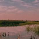 Yolo Bypass