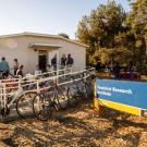 Bikes parked in front of FRI's offices on campus at UC Davis